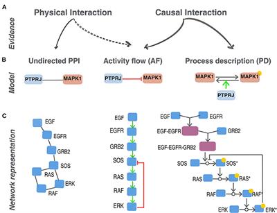 Assembling Disease Networks From Causal Interaction Resources